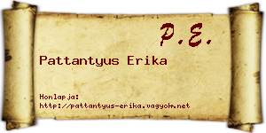 Pattantyus Erika névjegykártya